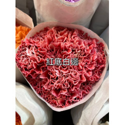 母親節預購 美國康乃馨 紅底白邊