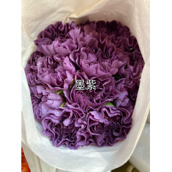 母親節預購 美國康乃馨 墨紫