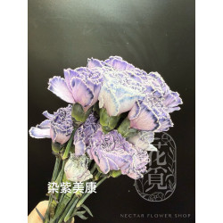 母親節預購 美國康乃馨 染紫