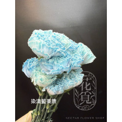 母親節預購 美國康乃馨 染淺藍