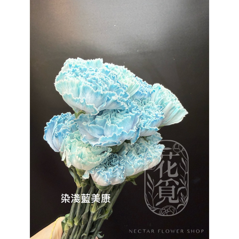 母親節預購 美國康乃馨 染淺藍