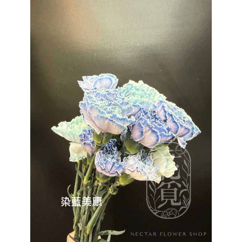 母親節預購 美國康乃馨 染藍