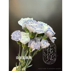 母親節預購 美國康乃馨 染灰藍