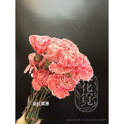 母親節預購 美國康乃馨 染紅