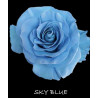 七夕預購 厄瓜多玫瑰 Sky Blue 天空藍