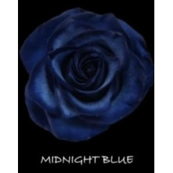 七夕預購 厄瓜多玫瑰 Midnight Blue 午夜藍