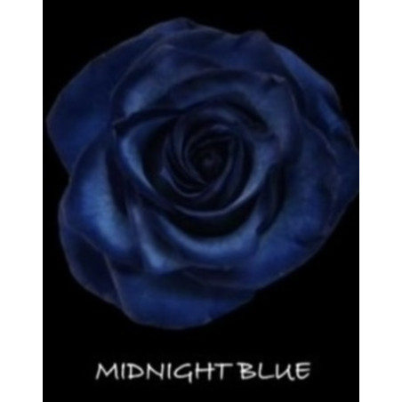 七夕預購 厄瓜多玫瑰 Midnight Blue 午夜藍