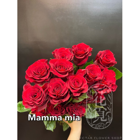 七夕預購 厄瓜多玫瑰  Mamamia