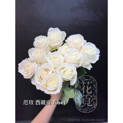 七夕預購 厄瓜多玫瑰 Tibet 西藏白