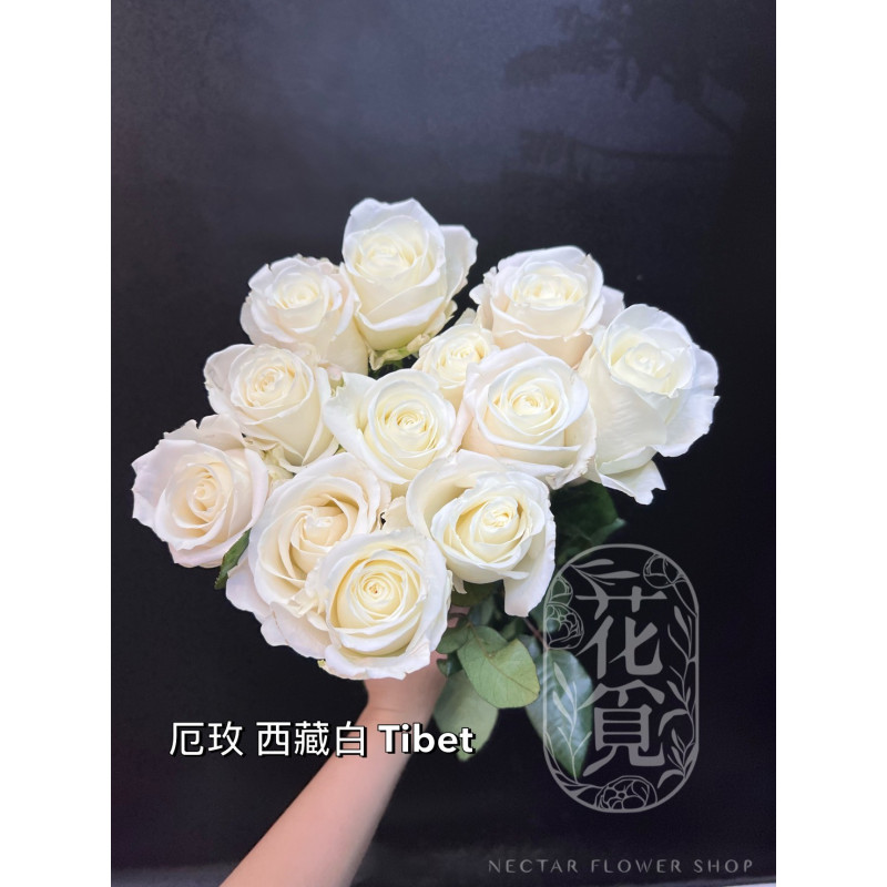 七夕預購 厄瓜多玫瑰 Tibet 西藏白