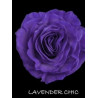 七夕預購 厄瓜多玫瑰 Lavander Chic