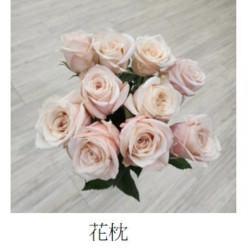 七夕預購 肯亞玫瑰  花枕玫瑰
