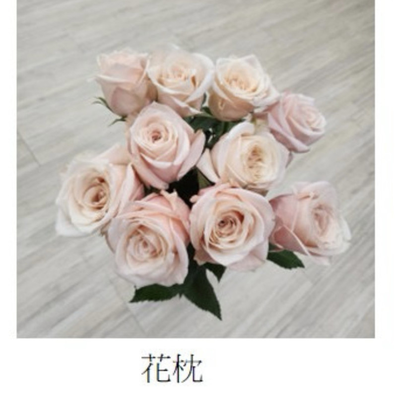 七夕預購 肯亞玫瑰  花枕玫瑰
