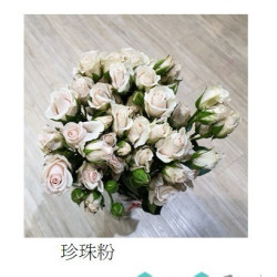七夕預購 肯亞玫瑰  珍珠泡泡多頭玫瑰