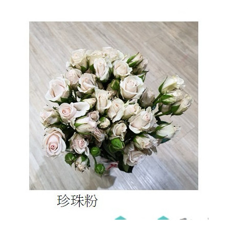 七夕預購 肯亞玫瑰  珍珠泡泡多頭玫瑰