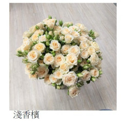 七夕預購 肯亞玫瑰  淺香檳 多頭玫瑰