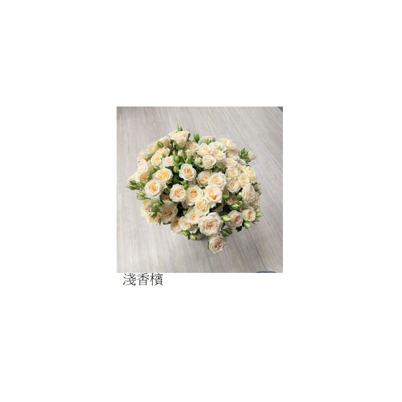 七夕預購 肯亞玫瑰  淺香檳 多頭玫瑰