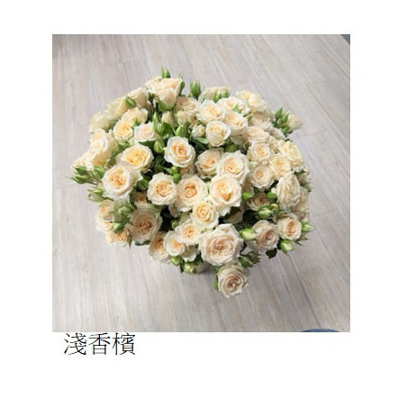 七夕預購 肯亞玫瑰  淺香檳 多頭玫瑰