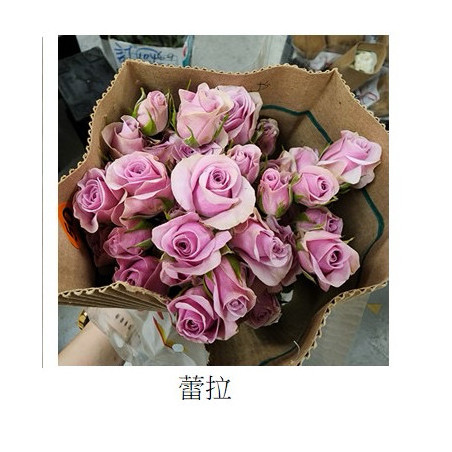 七夕預購 肯亞玫瑰  蕾菈 多頭玫瑰