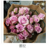 七夕預購 肯亞玫瑰  蕾菈 多頭玫瑰