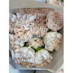 母親節預購 美國康乃馨 珍珠