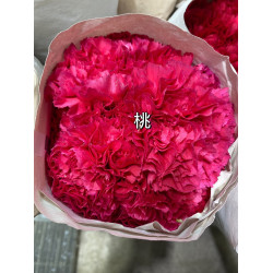 母親節預購 美國康乃馨 桃
