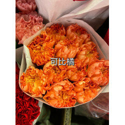 母親節預購 美國康乃馨 可比橘