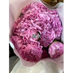 母親節預購 美國康乃馨 清水