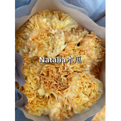 母親節預購 美國康乃馨 木瓜