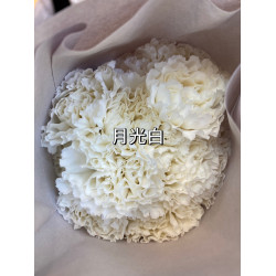 母親節預購 美國康乃馨 月光白