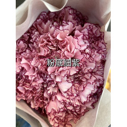 母親節預購 美國康乃馨 粉底細紫