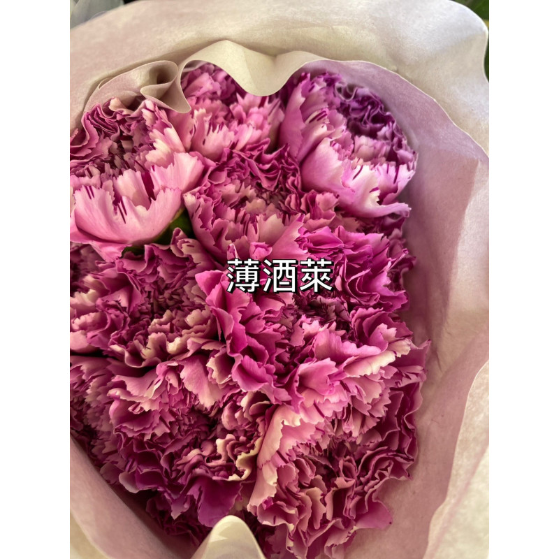 母親節預購 美國康乃馨 薄酒萊